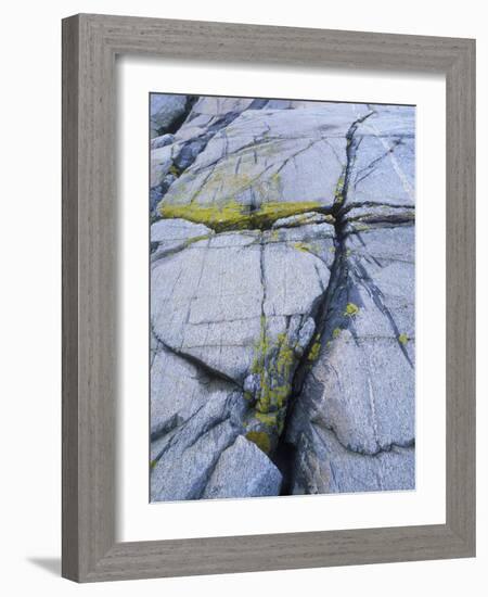 Norway, Telemark, the North Sea, Skagerak, Portšr, Lichen-Covered Rocks-Andreas Keil-Framed Photographic Print