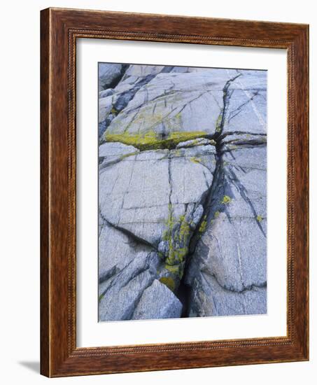 Norway, Telemark, the North Sea, Skagerak, Portšr, Lichen-Covered Rocks-Andreas Keil-Framed Photographic Print