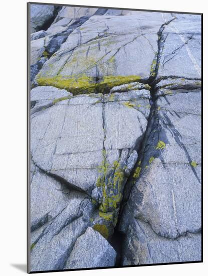 Norway, Telemark, the North Sea, Skagerak, Portšr, Lichen-Covered Rocks-Andreas Keil-Mounted Photographic Print