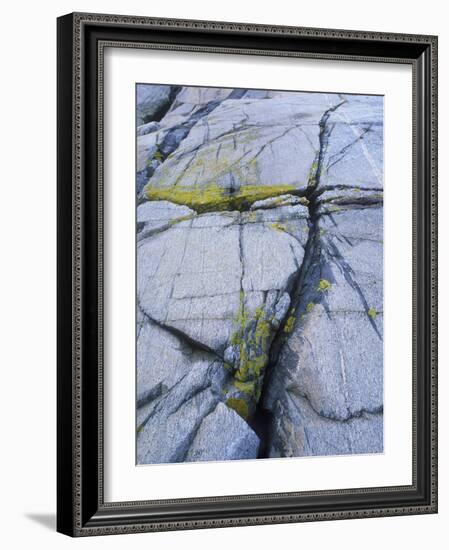 Norway, Telemark, the North Sea, Skagerak, Portšr, Lichen-Covered Rocks-Andreas Keil-Framed Photographic Print