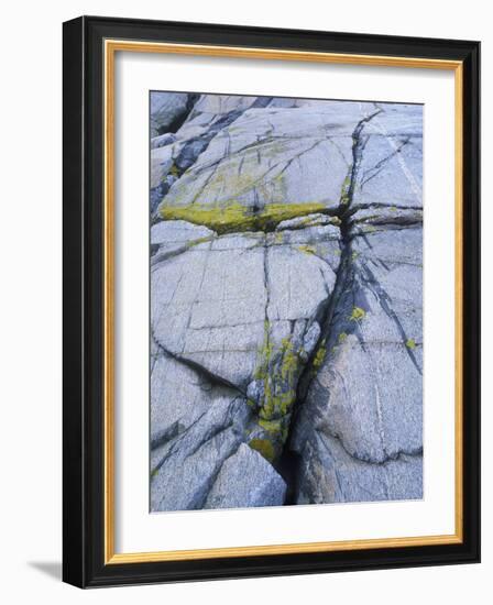 Norway, Telemark, the North Sea, Skagerak, Portšr, Lichen-Covered Rocks-Andreas Keil-Framed Photographic Print