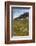 Norway. Varsolbukta. Camp Millar. Reindeer Antler on the Tundra-Inger Hogstrom-Framed Photographic Print