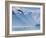 Norway, Western Fjords, Nordfjord, People in Rowing Boat-Shaun Egan-Framed Photographic Print