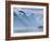 Norway, Western Fjords, Nordfjord, People in Rowing Boat-Shaun Egan-Framed Photographic Print