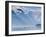 Norway, Western Fjords, Nordfjord, People in Rowing Boat-Shaun Egan-Framed Photographic Print