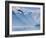 Norway, Western Fjords, Nordfjord, People in Rowing Boat-Shaun Egan-Framed Photographic Print