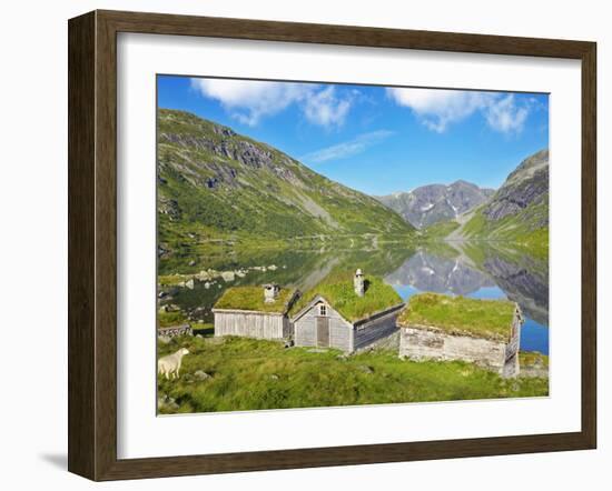 Norway, Western Fjords, Sogn Og Fjordane, Sheep Infront of Traditional Cottages by Lake-Shaun Egan-Framed Photographic Print