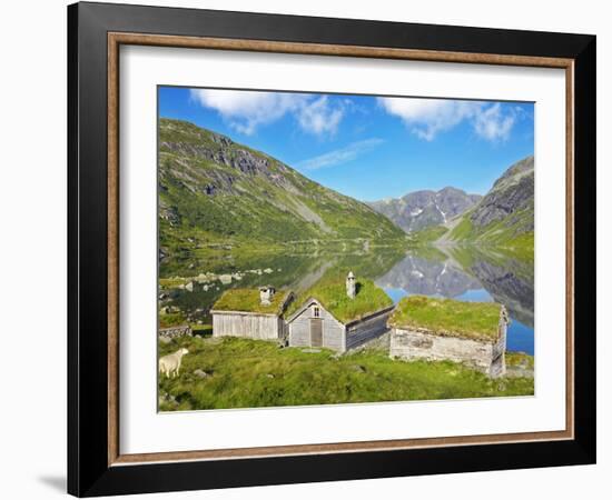 Norway, Western Fjords, Sogn Og Fjordane, Sheep Infront of Traditional Cottages by Lake-Shaun Egan-Framed Photographic Print