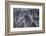 Norway-Art Wolfe-Framed Photographic Print