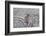 Norway-Art Wolfe-Framed Photographic Print