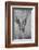 Norway-Art Wolfe-Framed Photographic Print