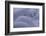 Norway-Art Wolfe-Framed Photographic Print