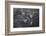 Norway-Art Wolfe-Framed Photographic Print