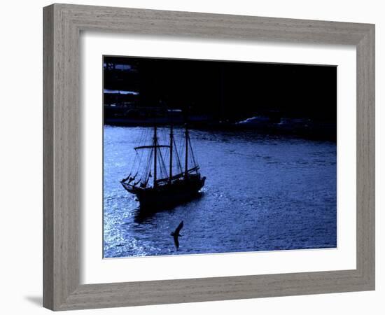 Norwegian Charter Sailboat, Oslo, Norway-Maresa Pryor-Framed Photographic Print