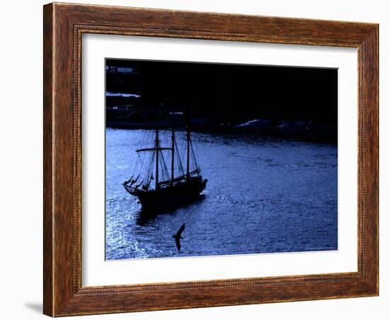 Norwegian Charter Sailboat, Oslo, Norway-Maresa Pryor-Framed Photographic Print