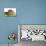 Norwegian Forest Kitten and Dwarf Rabbit-null-Photographic Print displayed on a wall