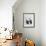 Norwegin Forest Cat-Barbara Keith-Framed Giclee Print displayed on a wall