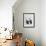 Norwegin Forest Cat-Barbara Keith-Framed Giclee Print displayed on a wall