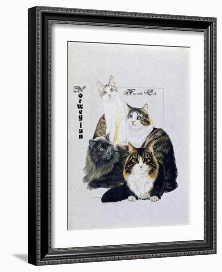 Norwegin Forest Cat-Barbara Keith-Framed Giclee Print