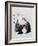 Norwegin Forest Cat-Barbara Keith-Framed Giclee Print