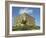 Norwich Castle, Norwich, Norfolk, England, United Kingdom, Europe-Charcrit Boonsom-Framed Photographic Print