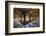 Norwich Cathedral Cloisters, Holy and Undivided Trinity Anglican Cathedral in Norwich-Neale Clark-Framed Photographic Print