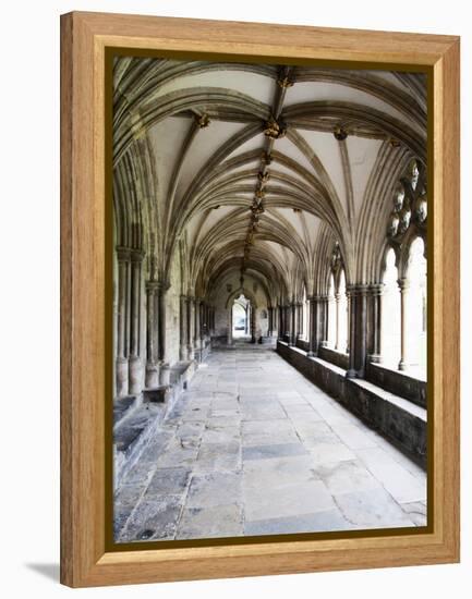 Norwich Cathedral Cloisters, Norwich, Norfolk, England, United Kingdom, Europe-Mark Sunderland-Framed Premier Image Canvas