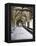 Norwich Cathedral Cloisters, Norwich, Norfolk, England, United Kingdom, Europe-Mark Sunderland-Framed Premier Image Canvas