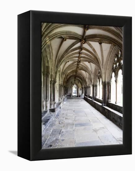 Norwich Cathedral Cloisters, Norwich, Norfolk, England, United Kingdom, Europe-Mark Sunderland-Framed Premier Image Canvas