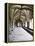 Norwich Cathedral Cloisters, Norwich, Norfolk, England, United Kingdom, Europe-Mark Sunderland-Framed Premier Image Canvas