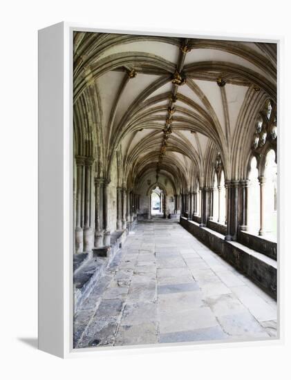 Norwich Cathedral Cloisters, Norwich, Norfolk, England, United Kingdom, Europe-Mark Sunderland-Framed Premier Image Canvas