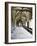 Norwich Cathedral Cloisters, Norwich, Norfolk, England, United Kingdom, Europe-Mark Sunderland-Framed Photographic Print