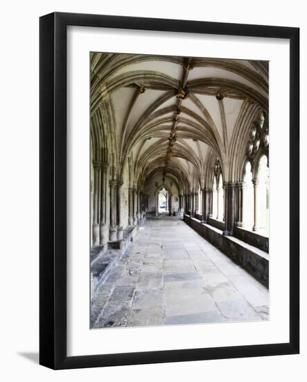 Norwich Cathedral Cloisters, Norwich, Norfolk, England, United Kingdom, Europe-Mark Sunderland-Framed Photographic Print