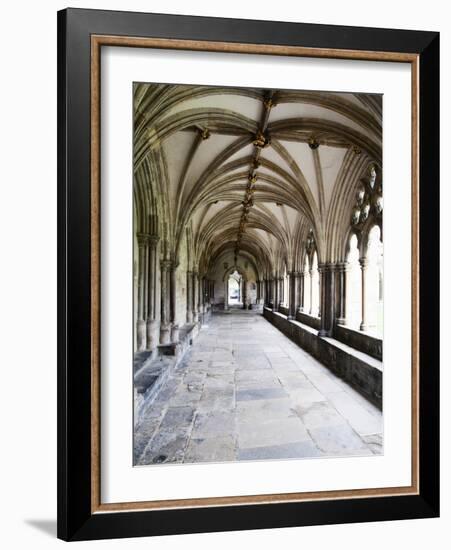 Norwich Cathedral Cloisters, Norwich, Norfolk, England, United Kingdom, Europe-Mark Sunderland-Framed Photographic Print