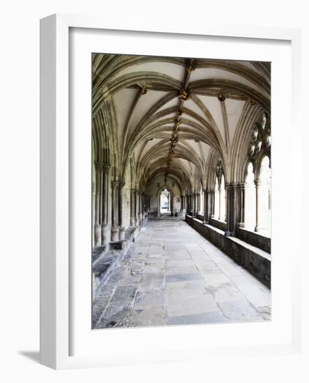 Norwich Cathedral Cloisters, Norwich, Norfolk, England, United Kingdom, Europe-Mark Sunderland-Framed Photographic Print