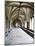 Norwich Cathedral Cloisters, Norwich, Norfolk, England, United Kingdom, Europe-Mark Sunderland-Mounted Photographic Print