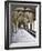 Norwich Cathedral Cloisters, Norwich, Norfolk, England, United Kingdom, Europe-Mark Sunderland-Framed Photographic Print