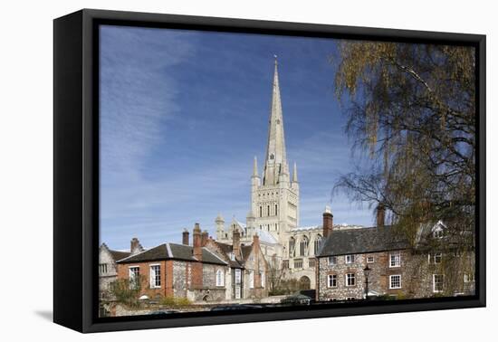 Norwich Cathedral, Norfolk, 2010-Peter Thompson-Framed Premier Image Canvas