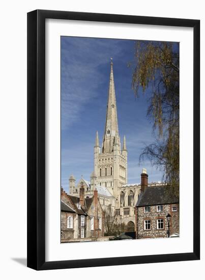 Norwich Cathedral, Norfolk, 2010-Peter Thompson-Framed Photographic Print