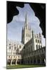 Norwich Cathedral, Norfolk, 2010-Peter Thompson-Mounted Photographic Print