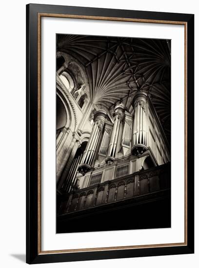 Norwich Cathedral Organ-Tim Kahane-Framed Photographic Print