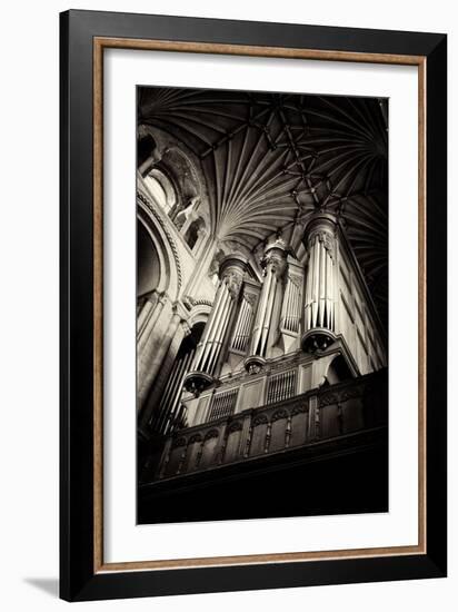 Norwich Cathedral Organ-Tim Kahane-Framed Photographic Print