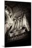 Norwich Cathedral Organ-Tim Kahane-Mounted Photographic Print