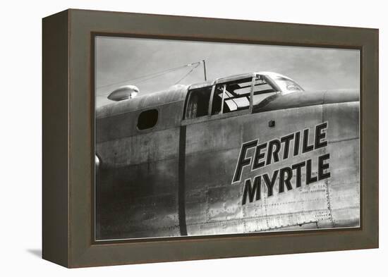 Nose Art, Fertile Myrtle-null-Framed Stretched Canvas