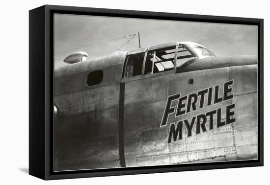 Nose Art, Fertile Myrtle-null-Framed Stretched Canvas