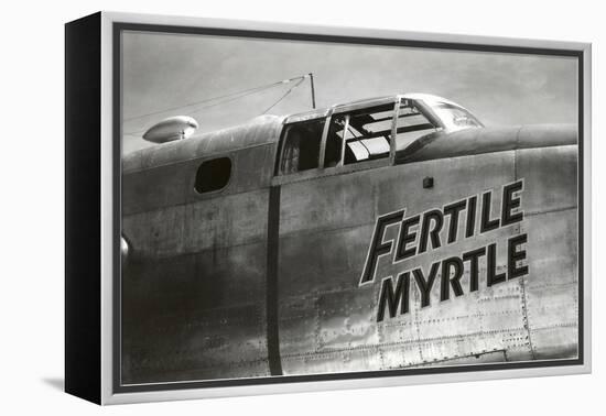 Nose Art, Fertile Myrtle-null-Framed Stretched Canvas