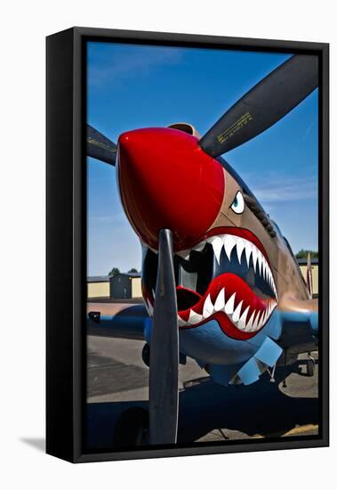 Nose Art on a Curtiss P-40E Warhawk-null-Framed Premier Image Canvas