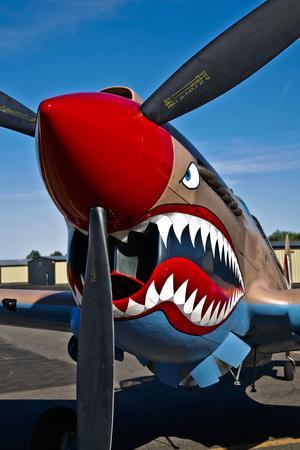 World War II Aircraft Wall Art: Prints & Paintings | Art.com