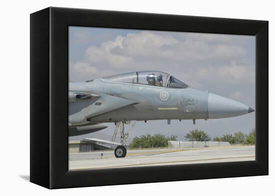 Nose Cone of a Royal Saudi Air Force F-15C-Stocktrek Images-Framed Premier Image Canvas