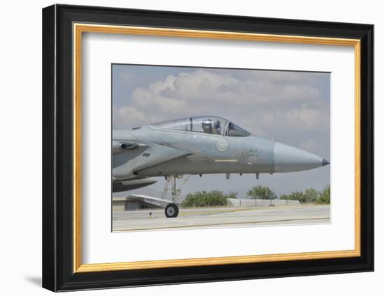 Nose Cone of a Royal Saudi Air Force F-15C-Stocktrek Images-Framed Photographic Print